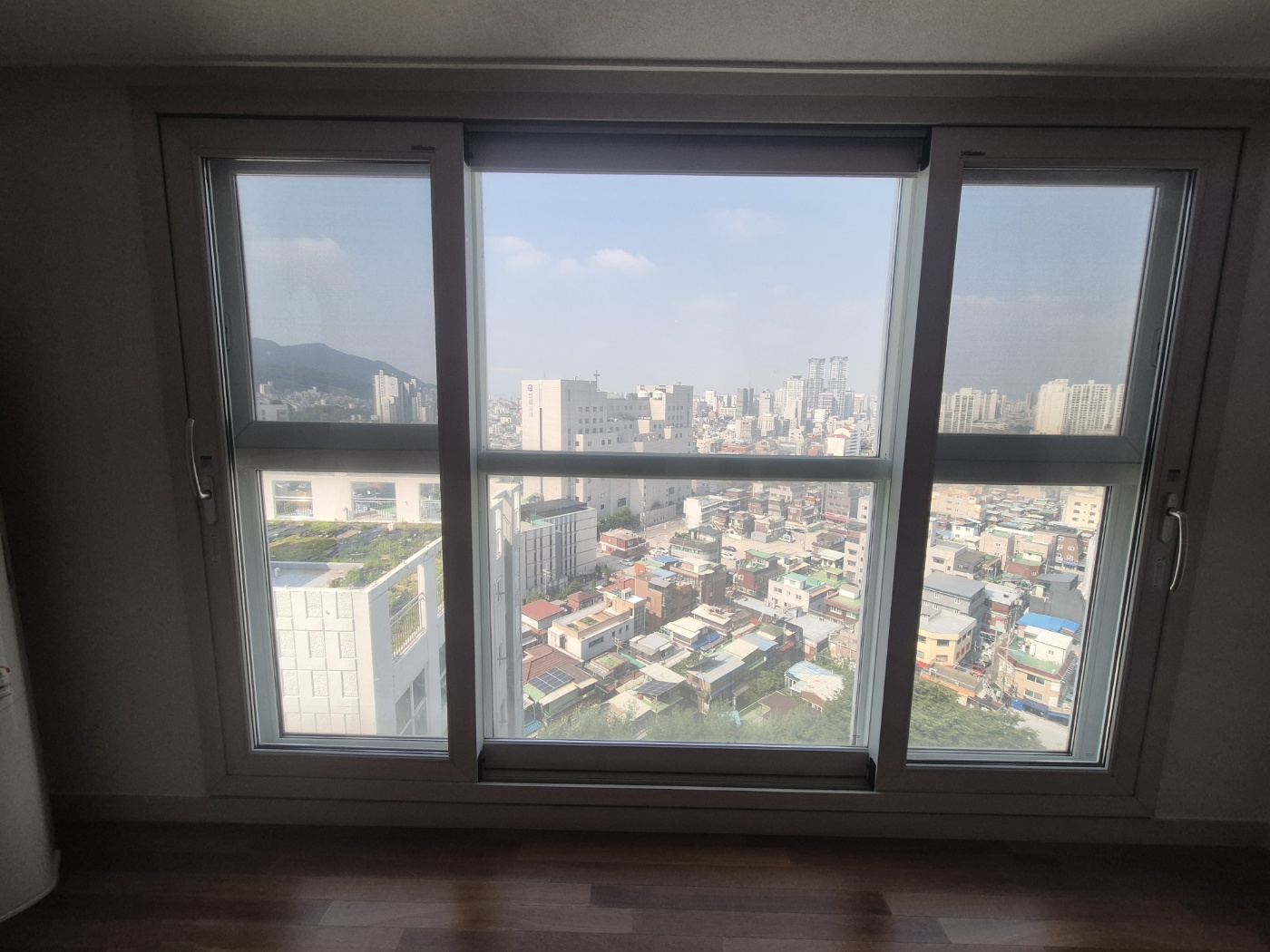 KakaoTalk_20260703_083003058.jpg